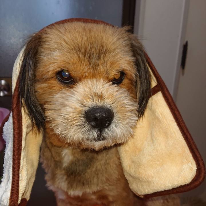 48061fbe 0569 4995 a097 94af07d1210a 1553417016351