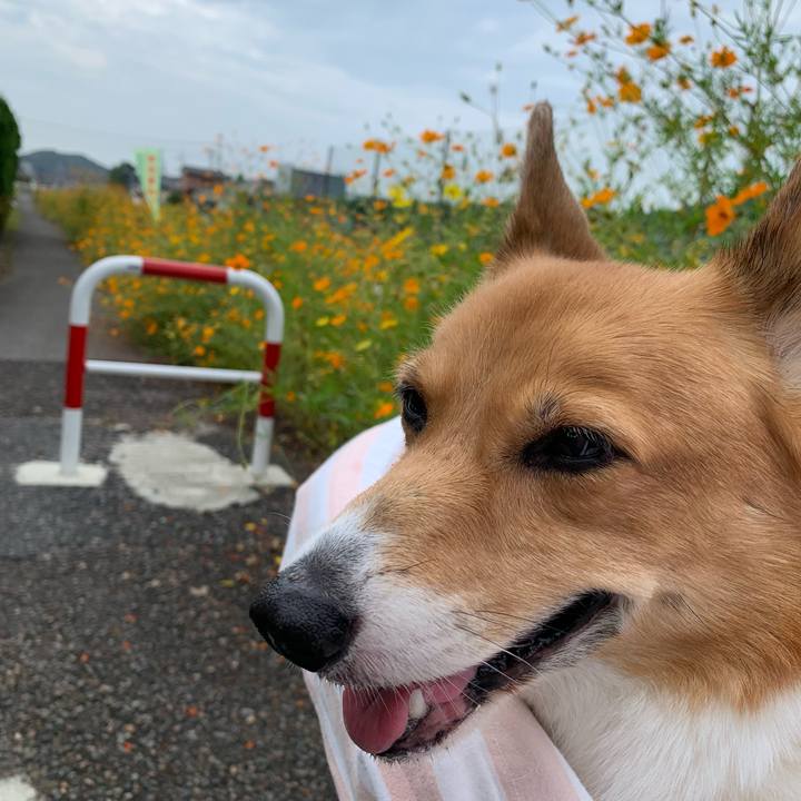 480656a2 260e 4f22 b3f8 8b796c5bac87 1695777128779