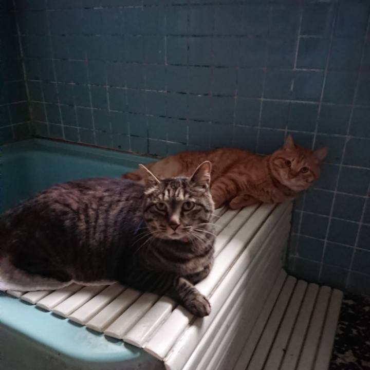 4806a651 2a12 42e0 8f35 805254d12c3b 1657618935341