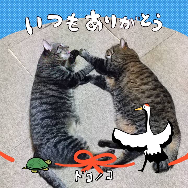 4806b981 f66e 4c52 ae98 7ba90da628a9 1726860321230