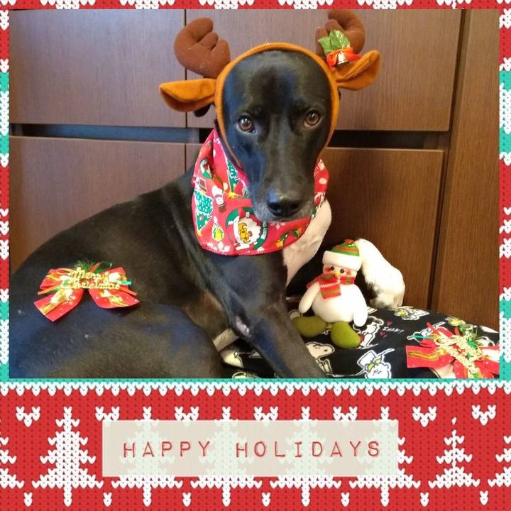 4806b988 126b 42f8 b472 edc5c68931e3 1608783393163