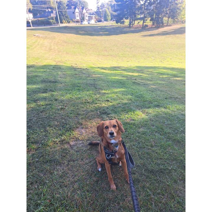 4806e559 03bf 4005 9aa2 bef91a7f1a0b 1758371780027