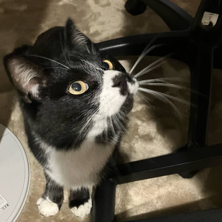 4806f503 f757 4c6f 994b c5be00bf61c5 1676950665038