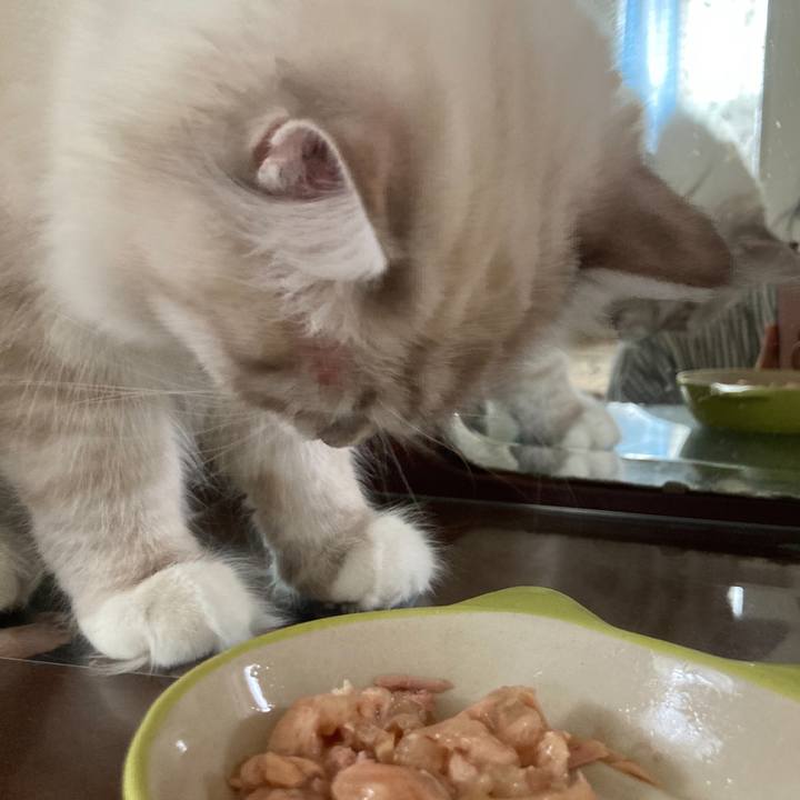 4806f64e d178 4567 96c7 040e2d937f41 1680125597927