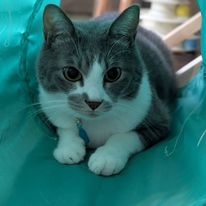 48071961 d2b1 498c 9496 94a59912f68f 1731632877997