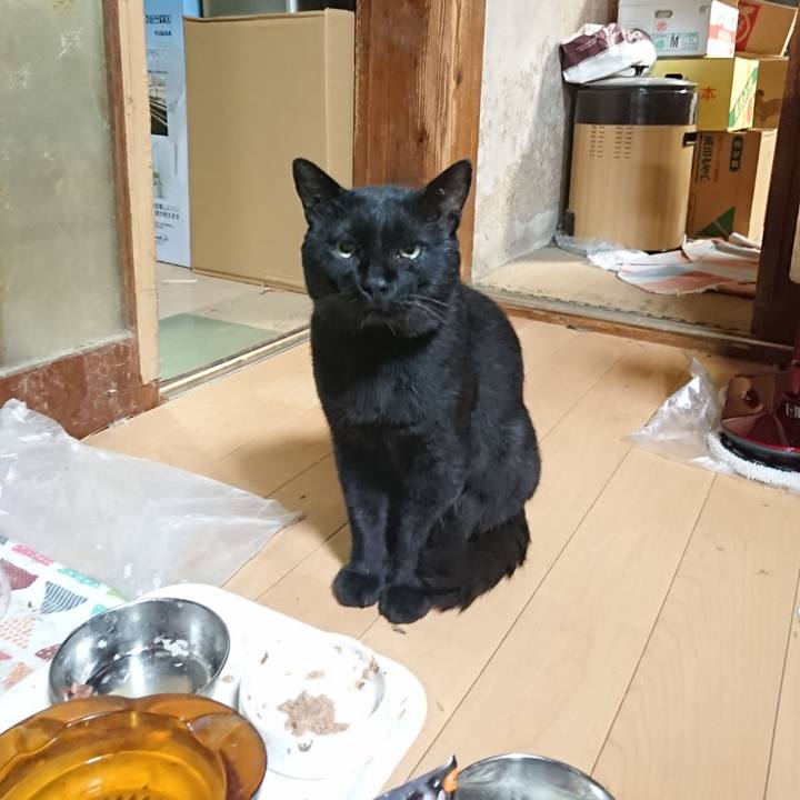 48071f95 d9ee 46cd a926 537c13c93abd 1630753833148