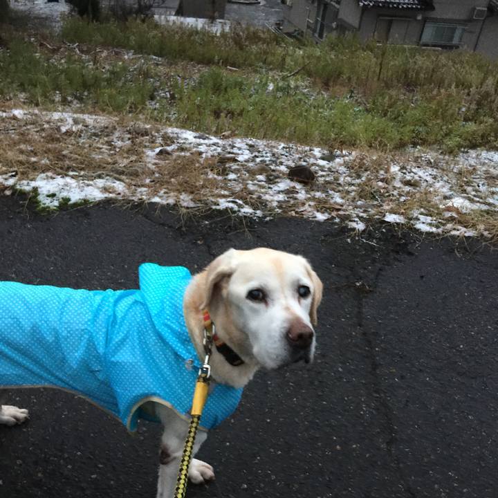 4807322a ee89 4e22 a50c 923faff75d8e 1544824970818