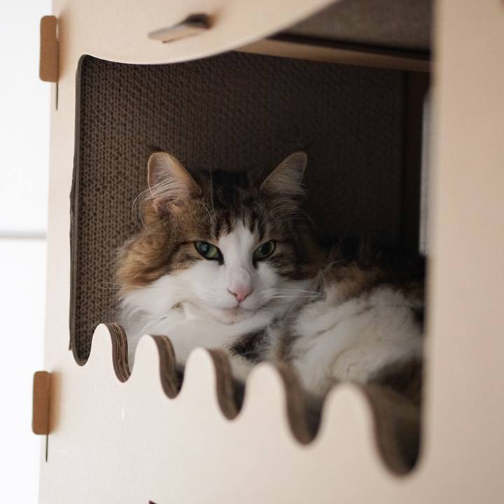 48075ac5 a3c1 4a1c b281 44d7f4603ac0 1580094678710