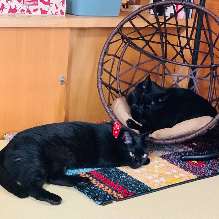 48076eb4 2059 45a0 886d 2c3c2ef17b6c 1564624354063