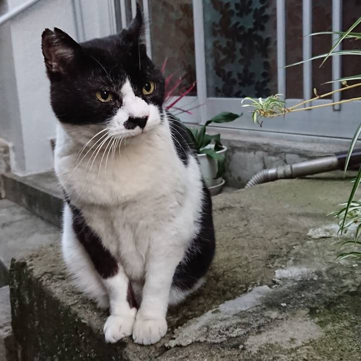 4807839d 70d2 480e 91d4 ca09edb25ad0 1668238783944