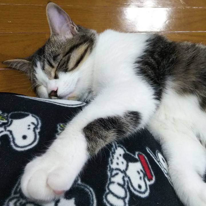 4807845d 3ce9 484d aded c7ebd4153958 1615894761444