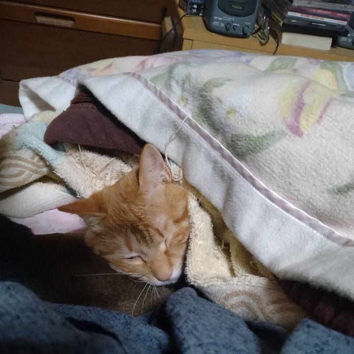 48078505 3791 44a2 a174 5414e73e163b 1678021300312