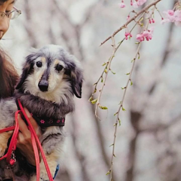 48078e63 36ed 40a9 bbc1 f7affa9ebde0 1554598859391