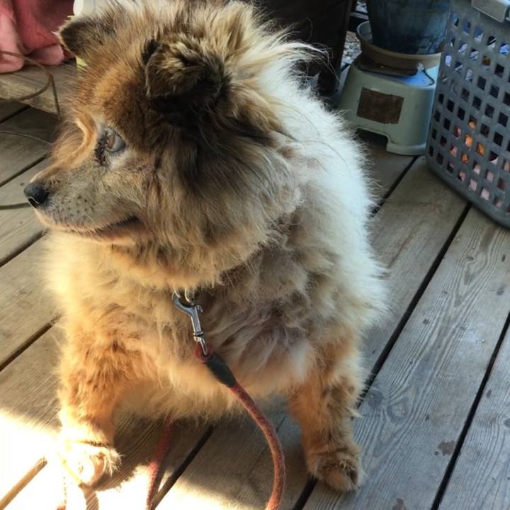 4807c333 ed14 4226 b1a4 dccfdd656a49 1638366611447