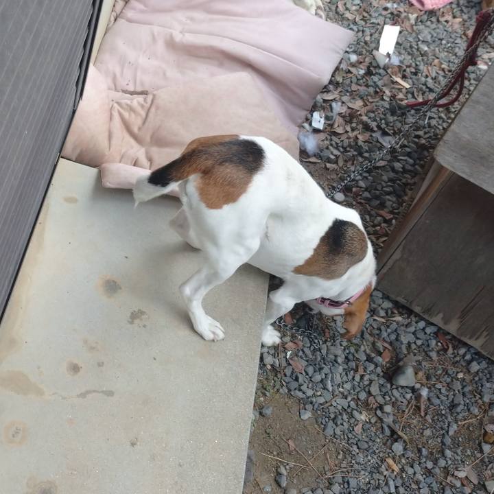 4807efe2 22f6 42f0 846b 3d8c368259d2 1580443640927