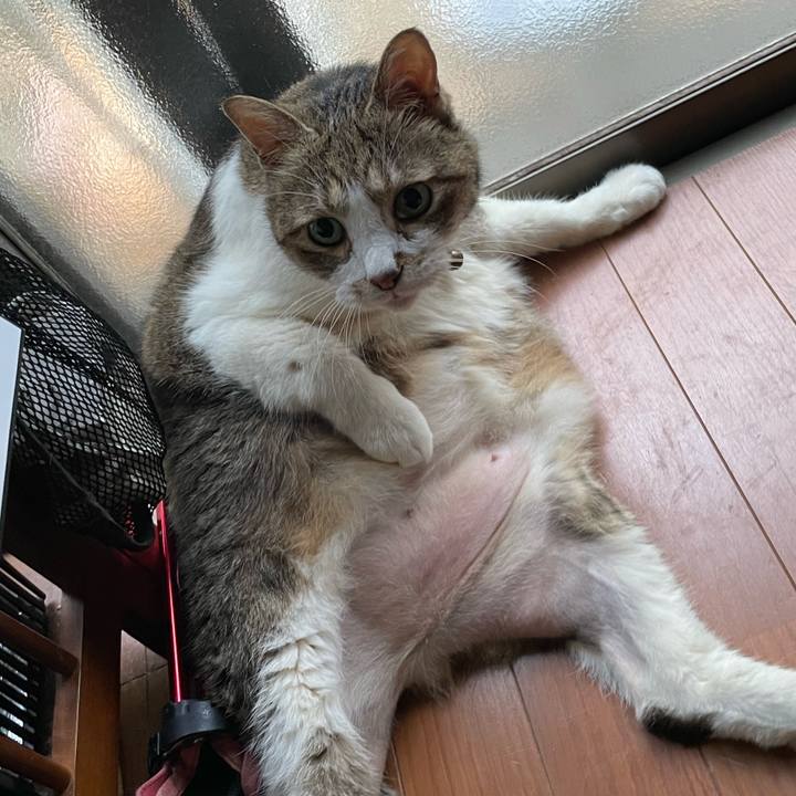 48083c71 fbd7 4288 a595 8d3c3a8a03c9 1757674793452