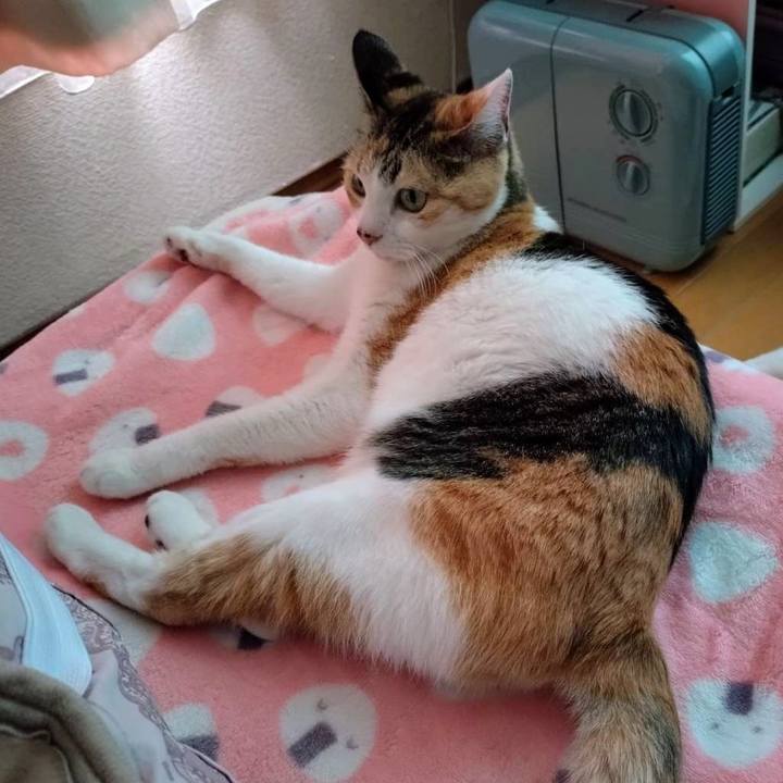 480855d8 4364 4359 90b7 22bddc25918b 1718183669113