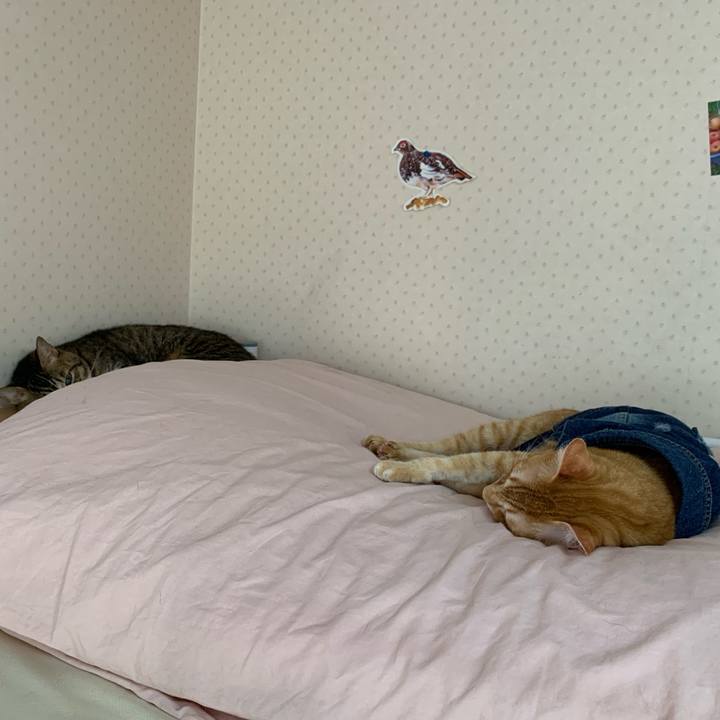 4808686e 6d28 41ca 85bd fa2237f378bf 1623620661980