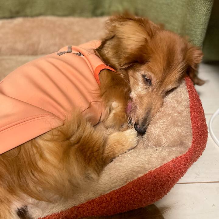 4808686e be8a 4bf0 88c2 00f2f2bb0fd6 1700058681688