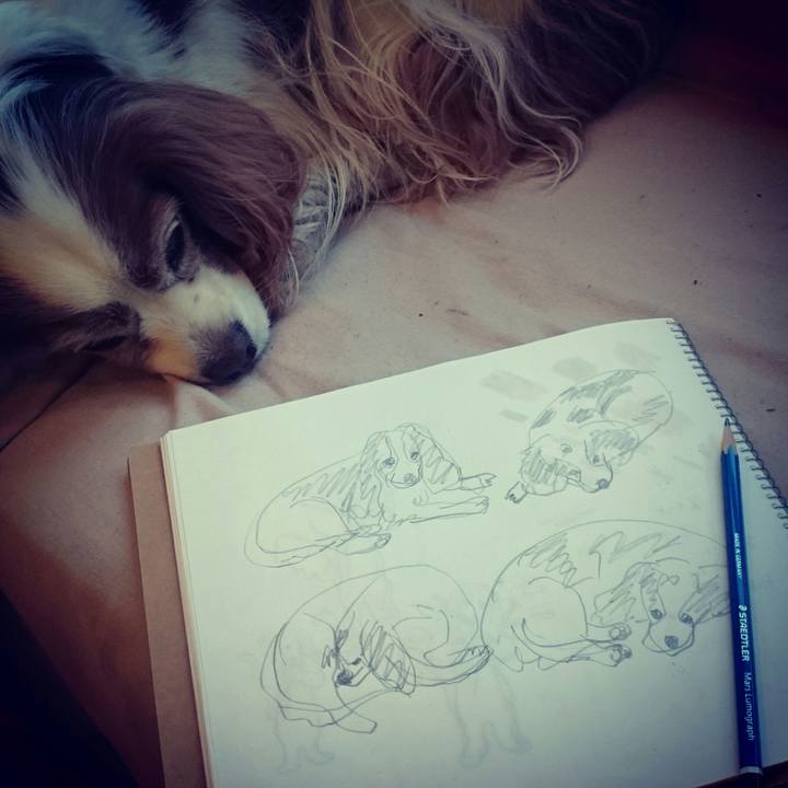 48086bae 4a88 4e9e 9d2f 1b30e4b06766 1554540949011