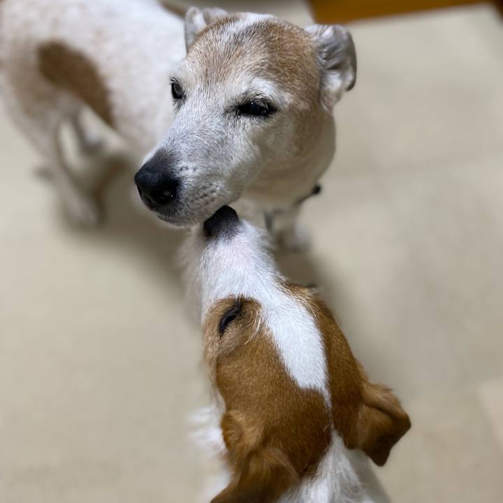 480896bd c0e4 4969 957b 41eea2b6be3a 1677846173701