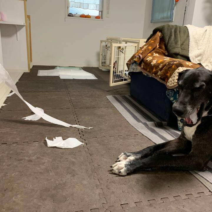 48089992 b7d8 438e 9acf bb39096d2b4e 1545343201365