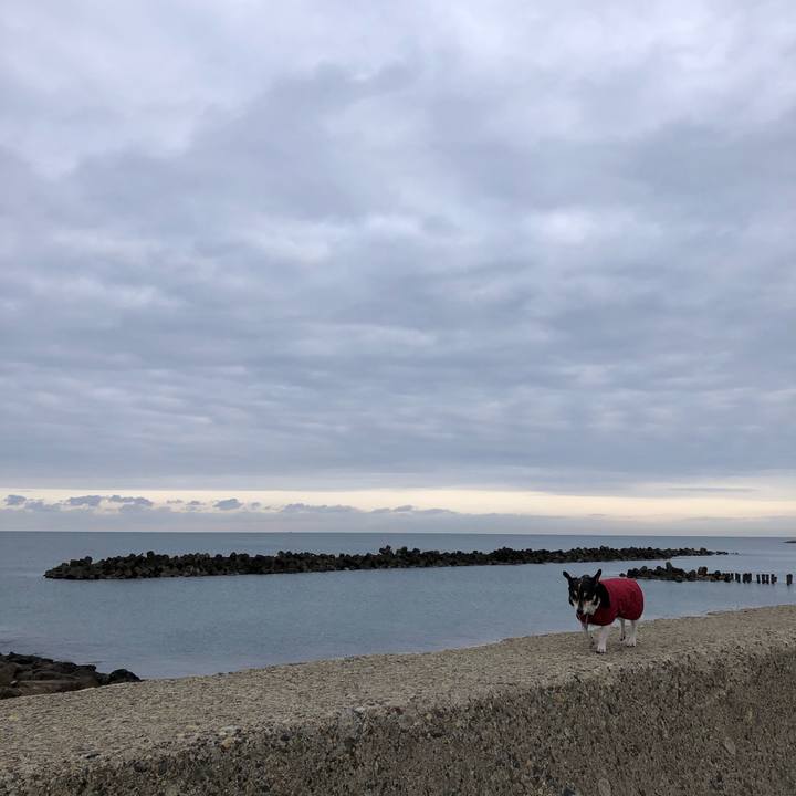 480899fe ba71 49f2 a507 49281b9c1810 1582934256646