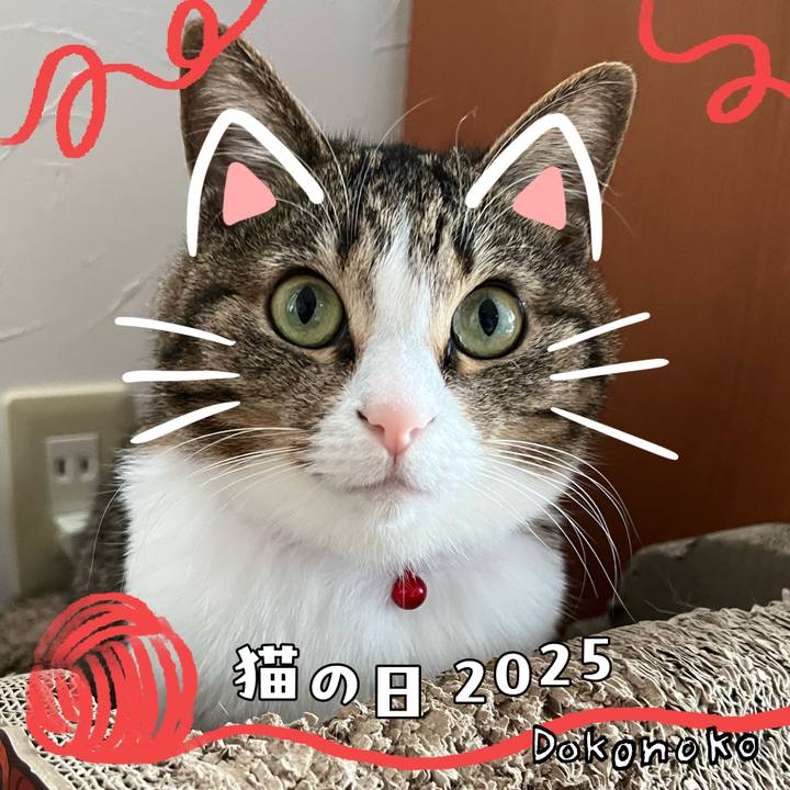 48089e18 70f6 4c18 8023 7e1c7b6c29e3 1740137978499