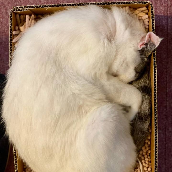 4808a2a7 eff0 4d91 8e54 c2e2258e6ebe 1655344626283