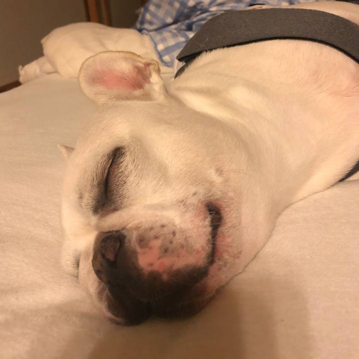 4808d8d8 b65d 4e82 b7bc e591ceaef446 1564918885787