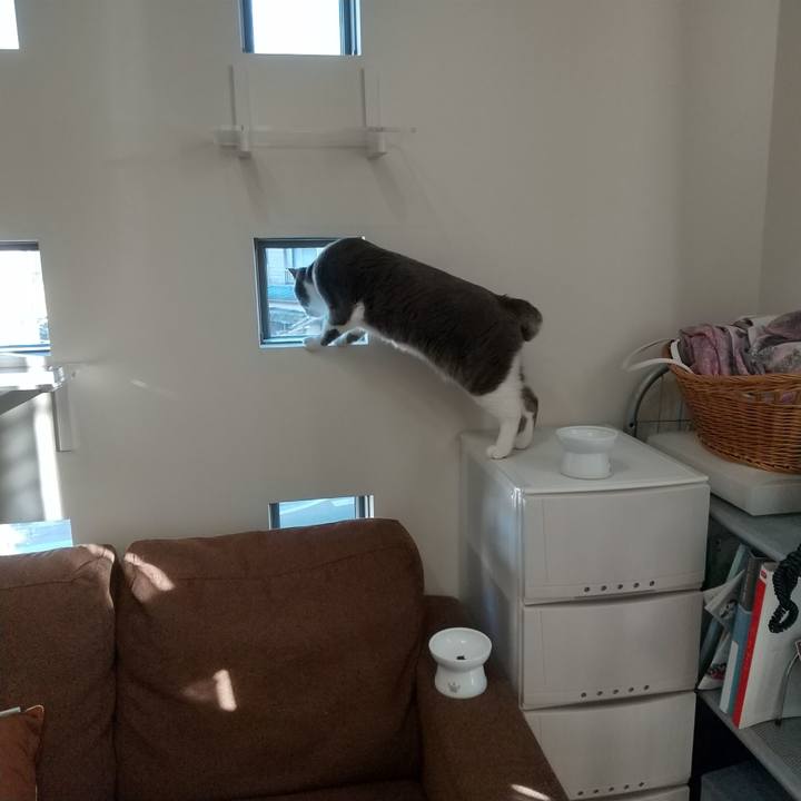 4808de53 13bc 4e09 8fc7 1b5d14e06e70 1643878280679