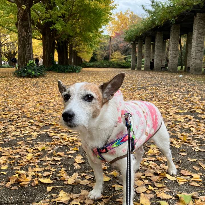 4808df31 7670 4b8a 959b efa0dd7fc0f8 1731885491536