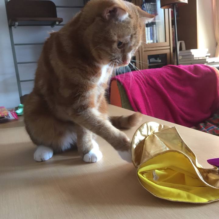 4808f276 f5ff 4134 8246 7f3eef5a842b 1540724639758