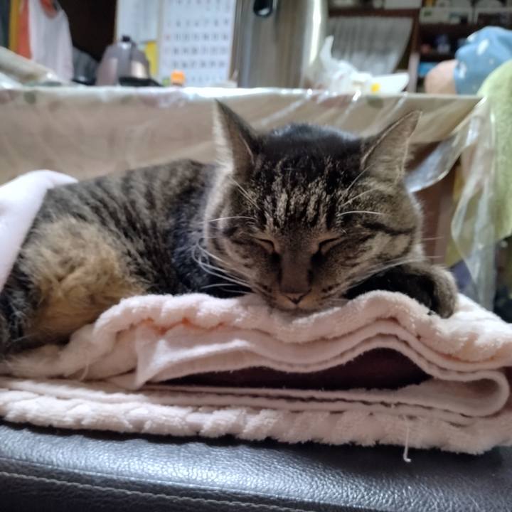 4808fca5 330c 41f5 a857 6539d8f446ee 1701578162593