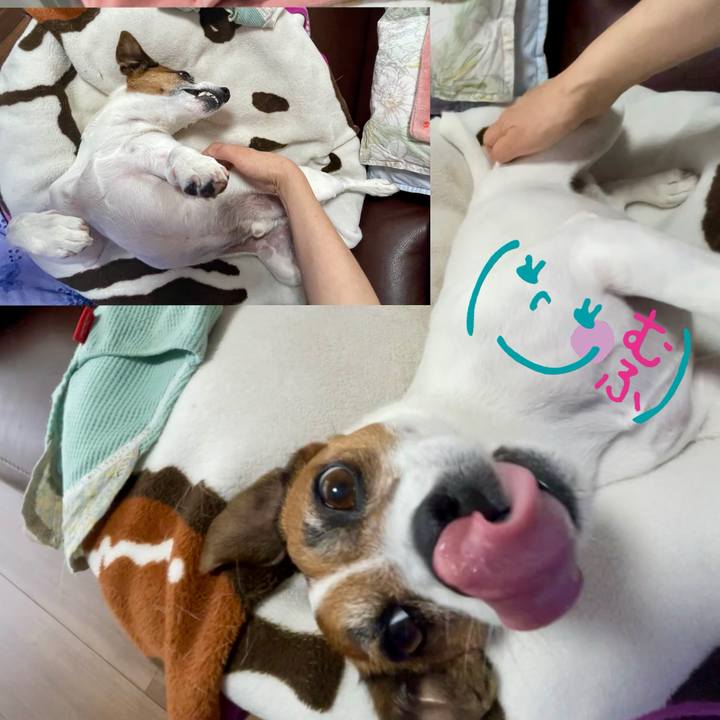 480940c9 40a6 47cb 93f0 67625968c552 1748904111837