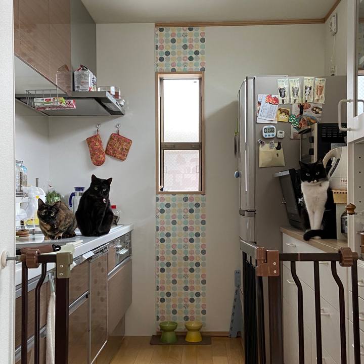 48094276 1869 494b 8cd0 bf44f1889d5c 1589944158114