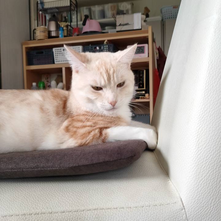 48094dfd 2be8 4760 a42c f24c893fda7a 1663462309347