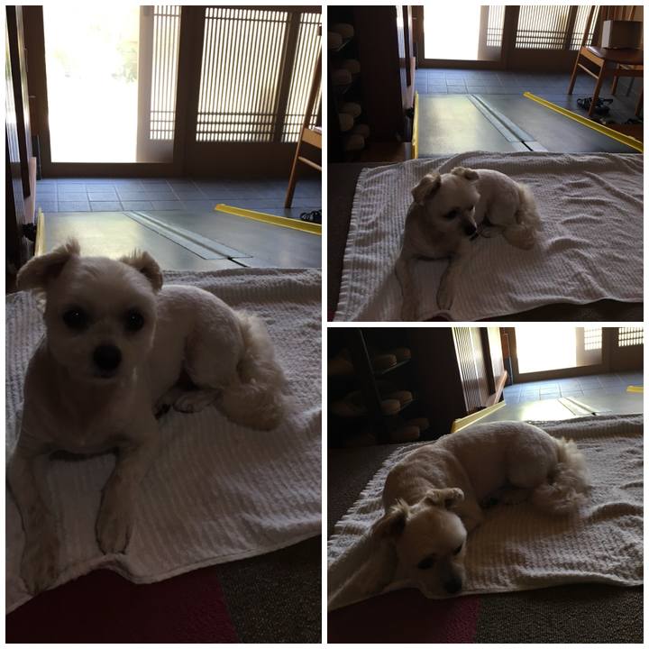 48096670 192e 4ccf 8a53 048c206a47e1 1533106106439