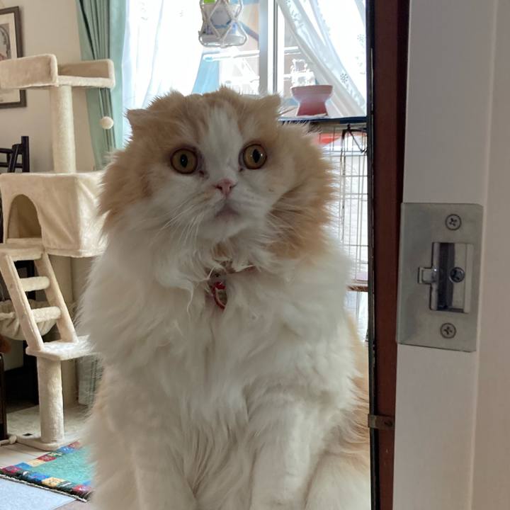 48098cd3 e947 4afc ad58 09b2de6f691c 1649460291555