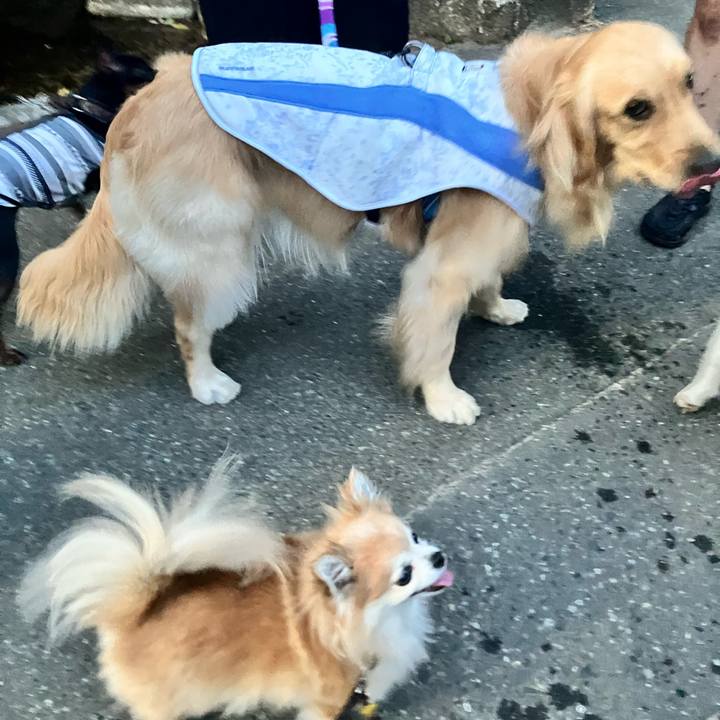 4809a955 8ea5 4924 ad60 4d1b38f7fbb1 1752095308126