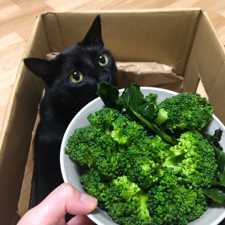 4809c12b 280a 46c5 bec7 67c7eca5cf0f 1556972046513