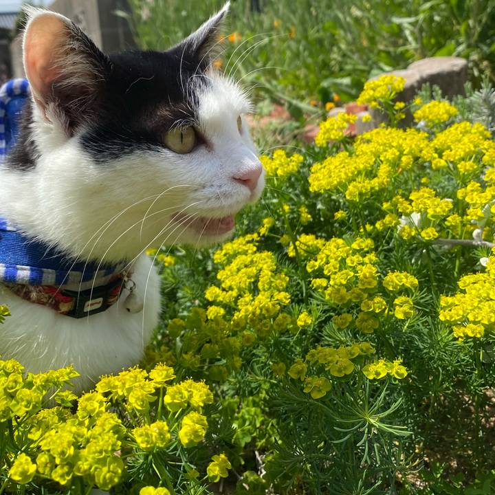 4809d127 4d67 407a 8a0b 393299592d29 1650177734362