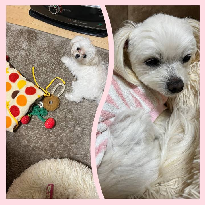 480a164c f69d 4d31 9002 e3a423b7595f 1709637927380