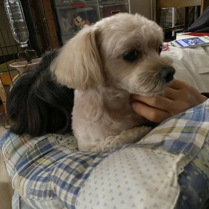 480a2572 4d4c 4fb3 862b 8237d75a22e1 1601382282930