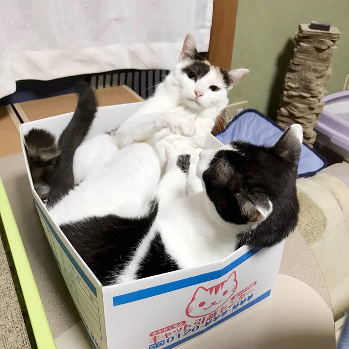 480abb9e ea76 4fcb bdbf d3716c1db3bf 1538013821688