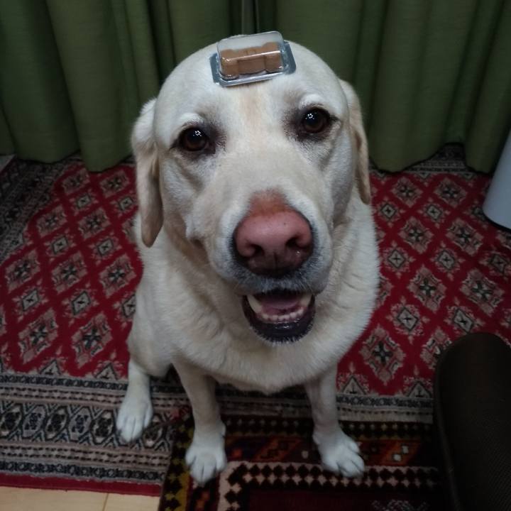 480ae728 fe15 4aa3 95cf 798b44937c4d 1624103805330