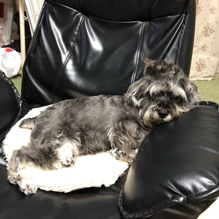 480aea76 4f5e 4e93 97f5 24409c2a4677 1531488395507