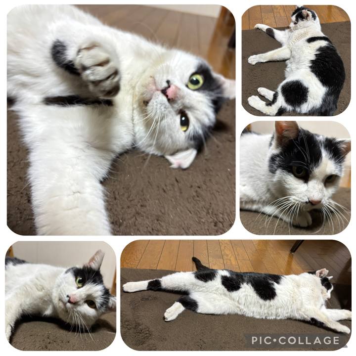 480aeb6d 61c5 4760 b26c 76856897de16 1769594515187