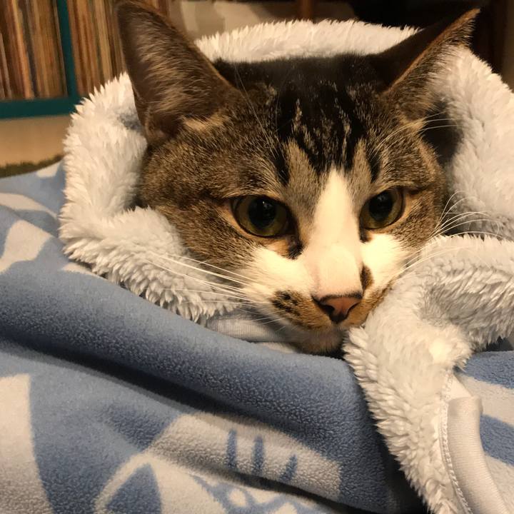 480b0798 e917 44d9 adbd 8e09e426f016 1516870690767