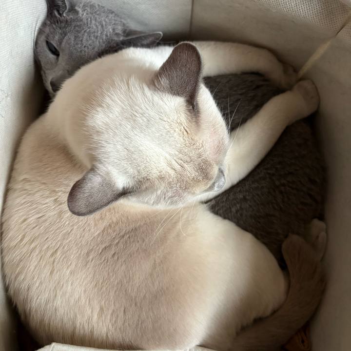 480b11c6 b8b3 4627 9937 d7e3f98b0dfc 1762332715032